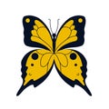 illustration of bright butterflies on a white background