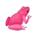 Bright pink frog, back view. Small toad with black eye, squat body and smooth skin. Flat vector for children book or Royalty Free Stock Photo