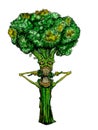 illustration of broccoli eating itself on transparent.