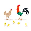 Illustration of brown chicken family isolated on white background Royalty Free Stock Photo