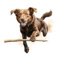 An illustration of a brown dog jumping after a stick Royalty Free Stock Photo