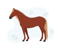 Illustration of a brown horse on the background. Image of a brown horse with brushes for cleaning on the background Royalty Free Stock Photo