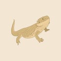 Illustration of a brown lizard with a long tail Royalty Free Stock Photo