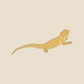 Illustration of a brown lizard with a long tail Royalty Free Stock Photo