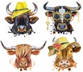 Set of watercolor bulls on white background. Royalty Free Stock Photo