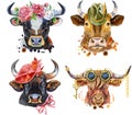 Set of watercolor bulls on white background. Royalty Free Stock Photo