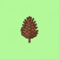 The pine cone is detailed with layered overlapping scales and a small stem Royalty Free Stock Photo