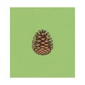 Illustration of a brown pine cone centered on a solid light green background Royalty Free Stock Photo