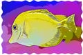 Bubbles, the yellow tang fish illustration