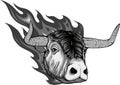 monochromatic illustration of Bull head in flame Royalty Free Stock Photo