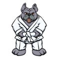 Illustration of a bulldog in kimono