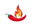 Illustration burned chilly pepper design vector