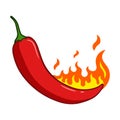 Illustration of a burning chili pepper. Vector. Royalty Free Stock Photo