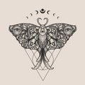 Illustration butterfly with antique ornament style Royalty Free Stock Photo