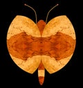 Illustration of a butterfly with bubinga wood Royalty Free Stock Photo