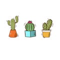 Illustration cactus procreate drawing