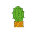 Illustration of cactus. Vector. Cacti vector illustration