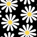 Camomile flowers seamless pattern vector black background