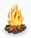 Illustration of camp fire on white Royalty Free Stock Photo