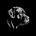 illustration of a cane corso dog head Royalty Free Stock Photo