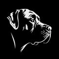 illustration of a cane corso dog head Royalty Free Stock Photo