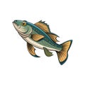 Whiskered Cod Fish Illustration Featuring Bright Colors Royalty Free Stock Photo