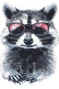 An illustration capturing a raccoon's suave expression behind a pair of chic sunglasses