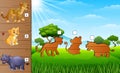 Cartoon africa animals collection set. Find the correct shadow on board. Educational game for children