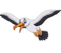 Cartoon albatross bird flying