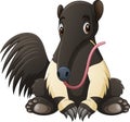 Cartoon anteater on white background