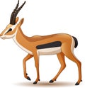 Cartoon antelope isolated on white background