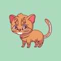 Illustration of a cartoon asian golden cat on colorful background