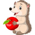 Cartoon baby hedgehog holding red apple Royalty Free Stock Photo