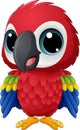 Cartoon baby macaw on white background Royalty Free Stock Photo