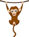 Cartoon baby monkey hanging on a wood branch Royalty Free Stock Photo