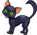 Cartoon black cat isolated on white background Royalty Free Stock Photo