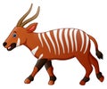 Cartoon bongo antelope Royalty Free Stock Photo