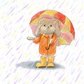 Cute rabbit under umbrella. Illustration of cartoon brown hare. Royalty Free Stock Photo