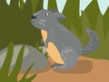 Illustration of a cartoon chinchilla in the grass. Illustration with a funny chinchilla. A gray chinchilla at