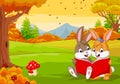 Cartoon couples of rabbits reading a book in the autumn forest Royalty Free Stock Photo