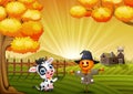 Cartoon cow with halloween scarecrow in the farm background