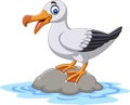 Cartoon cute bird albatross standing on a rock Royalty Free Stock Photo