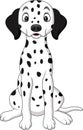 Cartoon cute dalmatian dog