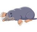 Cartoon cute mole Royalty Free Stock Photo