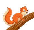 Cartoon cute squirrel on the tree Royalty Free Stock Photo