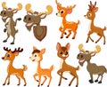 Cartoon deer and moose collection set Royalty Free Stock Photo