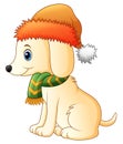 Cartoon dog wearing a scarf and santa hat Royalty Free Stock Photo