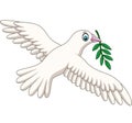 Cartoon dove with an olive branch