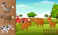 Cartoon farm animals collection set. Find the correct shadow on board. Educational game for children Royalty Free Stock Photo