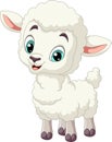 Cartoon funny baby lamb on white background